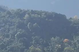 车祸中最幸运的人图片