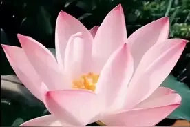 分享一波最新的“中老年表情包”，是时候用起来了~图片