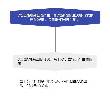行为是如何受到影响的-神经科学篇