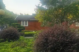 大山里的爱情（三十）图片