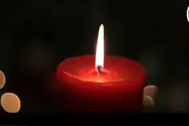 父母再也回不来了图片