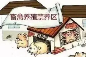 江西上饶：强拆养猪场一分不赔？法院：赔偿107万！图片