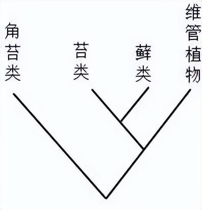 2021年全国中学生生物学联赛试题