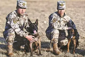 “军中姐妹花”找新主人！武警厦门支队两只军犬光荣退役图片