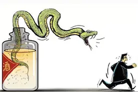 蛇酒变腐败液！8条蛇泡22年喝到视线模糊，30年蛇酒喝出生理反应图片