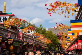 在日本旅游，为什么不能轻易和当地美女喝酒？能有什么后果图片