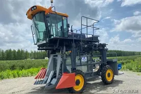 国内首台！中国农机院成功研发自走式蓝莓（蓝靛果）收获机图片