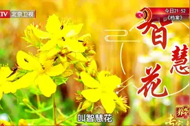 这种“痴呆”是假的，可以逆转！一茶一操，益智护脑，预防真痴呆图片