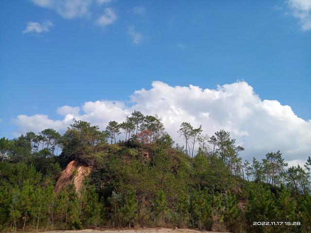 ����е����