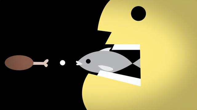 肌肉是如何生长的？