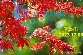 田兆广深情“忆潍坊”47 参与士官队伍建设情况调查与思考 采写工作图片