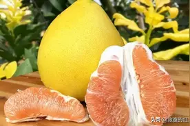 水果圈真乱，盘点柚子、橙子、橘子、桔子、柠檬之间的复杂关系图片