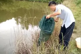 “你们管得也太宽了！”安徽一农民捕捞二两河虾，被判刑1个月。图片
