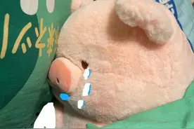 可爱小猪要抱抱表情包图片