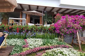 人到中年和异性约伴出行自驾游都有哪些好处？图片