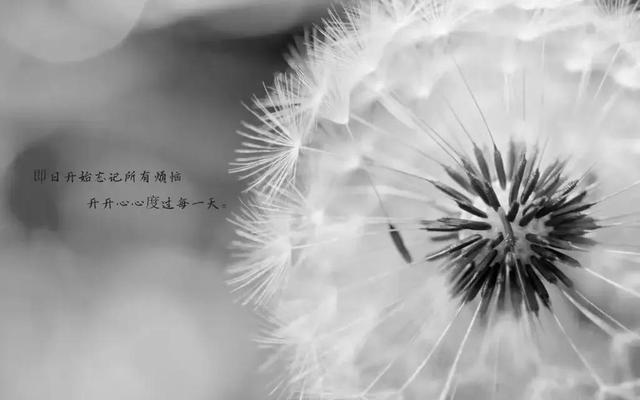 催泪的情感小故事