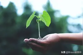 2023泰晤士世界大学影响力：博洛尼亚大学米兰理工大学全球TOP100图片