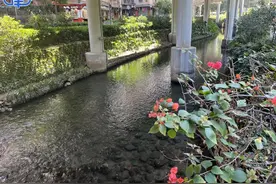 非凡十年丨从臭水沟到景观带，广州东濠涌这样华丽变身……图片