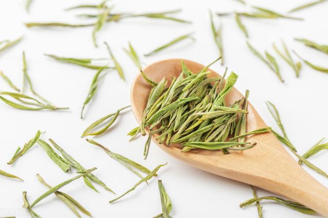 安吉白茶凭什么可以吊打众多绿茶？