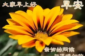 酷暑最新早上好表情大全，感恩有你，时光不老，陪您永永远远图片