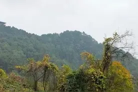 重庆军统集中营现场杀害先烈的刽子手的下场图片