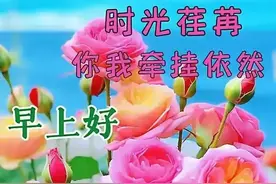 7月24日今日最佳早上好祝福语 早上好最新图片送朋友 最新早安图片图片