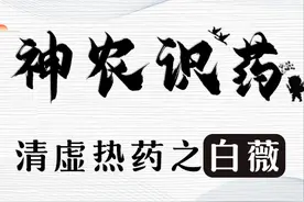《神农识药》清虚热药之白薇图片