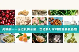 亮氨酸——促进肌肉合成，塑造良好身材的重要氨基酸图片