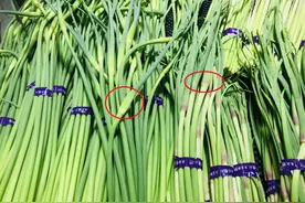 买蒜薹，分清“白帽”和“红帽”，区别真不小，弄懂了再买才好吃图片