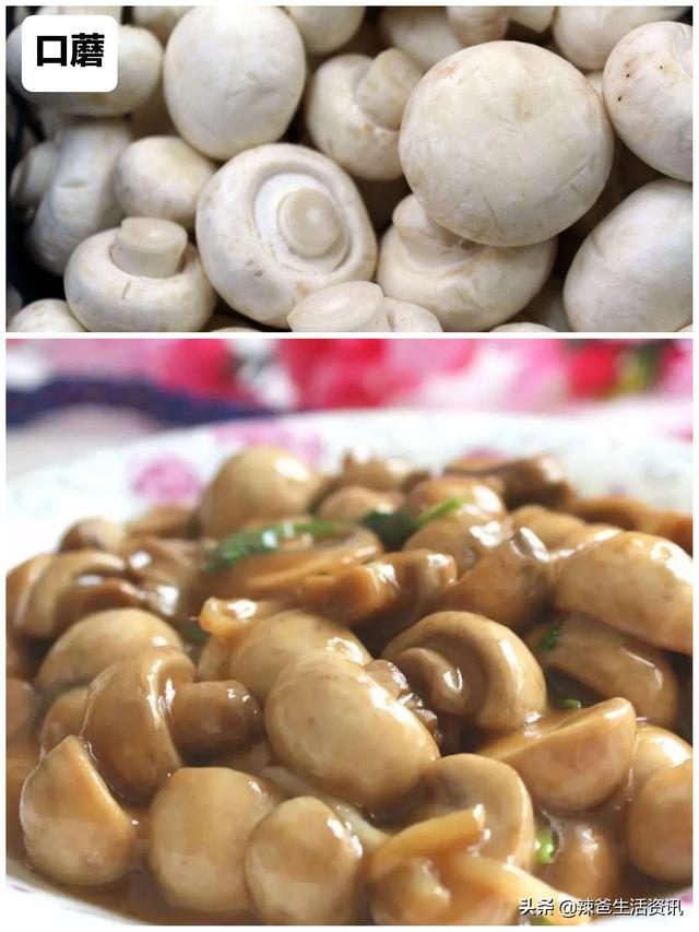 12种“常见的蘑菇”，你都吃过吗？附：经典做法，请收藏