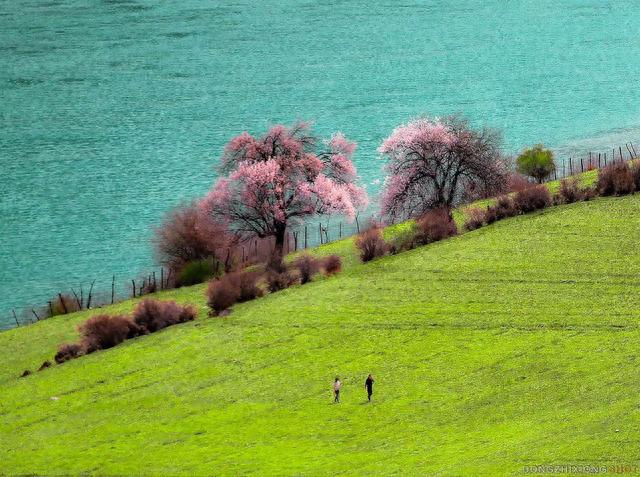 һֵ̨�������й������ǵ��ֻ��������и�ϸ���������أ��ж���ǧ����