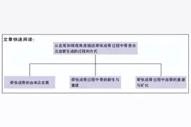 牵张成骨过程中骨愈合及血管生成的机制图片