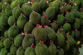 外国水果争相出口我国，澳大利亚水果“一马当先”，狼又回来了？图片