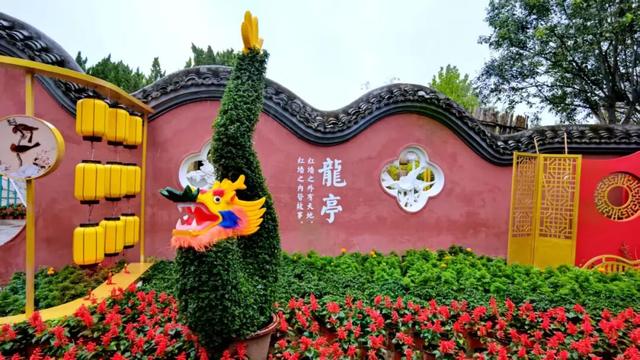 待到重阳日，还来开封赏菊花