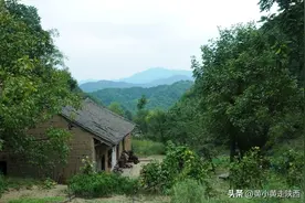 没有网络信号，没有邻居，60岁大娘独居山谷深处，种满院子花图片