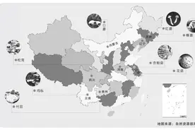 秋吃蘑菇正当时！一张蘑菇地图，带你看全国特色吃法图片