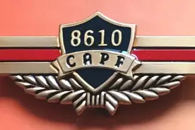 毛启国：武警第117师胸标、臂章简介图片