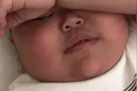 表情包‖小趴菜，喝一个！《喝酒》图片