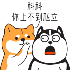 2022小升初摇号月正式开启！全方位指南