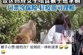 女子给猴子喂食被掌掴？景区回应图片