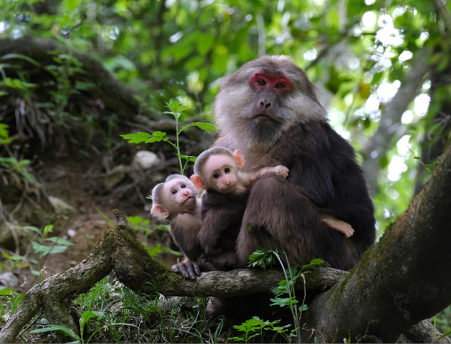 四川省民生研究会新媒体中心-官网