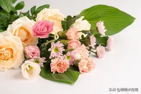 人到中年，当你疾病缠身失去价值，才会痛彻领悟，人生与别人无关图片