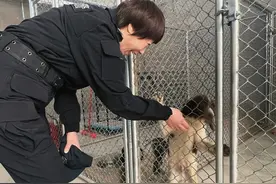 带犬民警谭丽丽，警犬Candy，退休快乐！图片