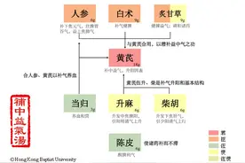补中益气汤（补益之剂）图片