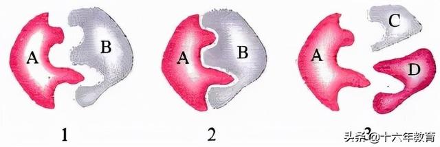高中生物重要生化知识图解记忆（建议收藏）