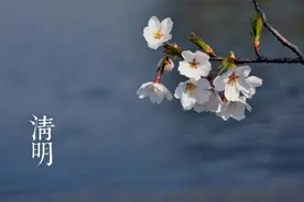 清明扫墓三大忌讳：古老智慧背后的深意，让传统文化焕发新生图片