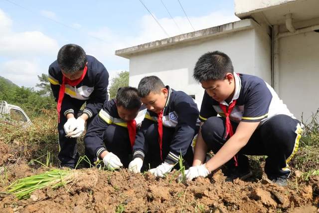 四川省民生研究会新媒体中心-官网