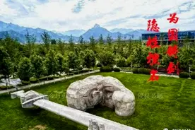 在海外，有一支来自东方的神秘力量？图片