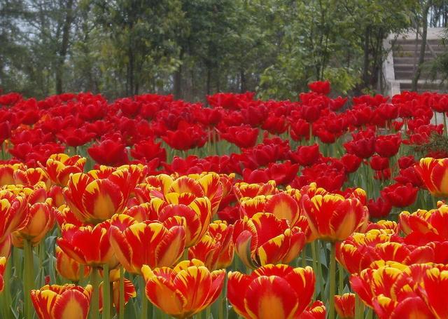 皮阿诺热水器怎么用（2022电热水器市场出现大变革）