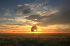 王菲53岁生日曝光：率性而活的人生，治愈了多少中年女人的内耗图片